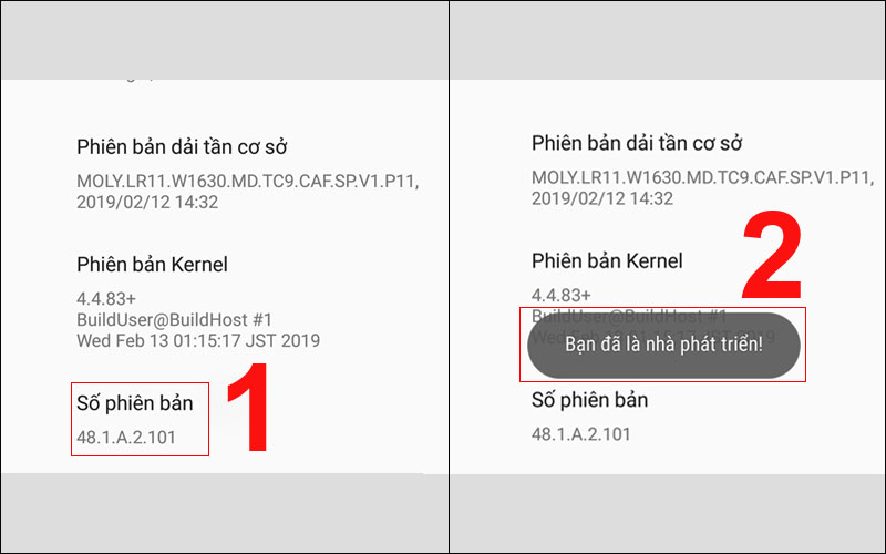 Khi thông báo hiện ra thì bạn đã kích hoạt thành công chế độ nhà phát triển